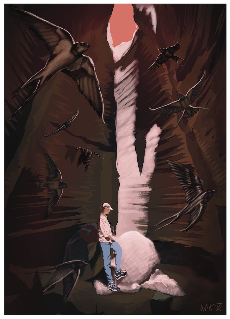 un personnage dans un volcan avec un puit de lumière et des oiseaux hirondelles qui tournent autour de la personne.